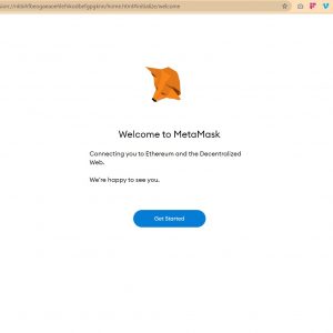 MetaMask Guide: How To Create A Wallet, Buy NSUR, & Invite Friends
